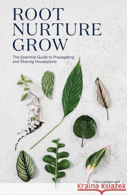 Root, Nurture, Grow: The Essential Guide to Propagating and Sharing Houseplants Ro Co 9781787132184 Quadrille Publishing Ltd - książka