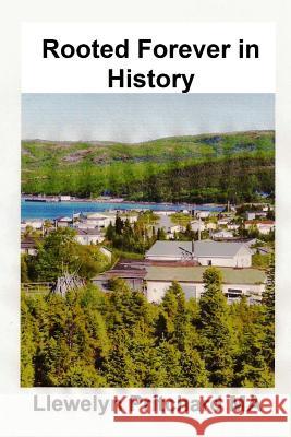 Rooted Forever in History: Port Hope Simpson, Newfoundland and Labrador, Canada Llewelyn Pritchar 9781482335675 Createspace - książka