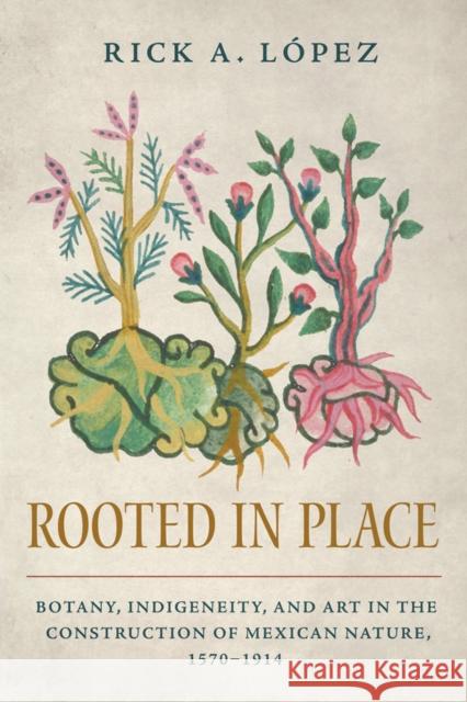 Rooted in Place: Botany, Indigeneity, and Art in the Construction of Mexican Nature, 1570-1914 Rick A. Lopez 9780816555659 University of Arizona Press - książka