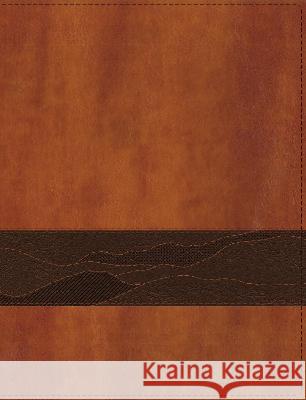 Rooted: The NIV Bible for Men, Leathersoft, Brown, Comfort Print Livingstone Corporation 9780310462569 Zondervan - książka