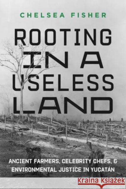 Rooting in a Useless Land: Ancient Farmers, Celebrity Chefs, and Environmental Justice in Yucatan  9780520395879 University of California Press - książka