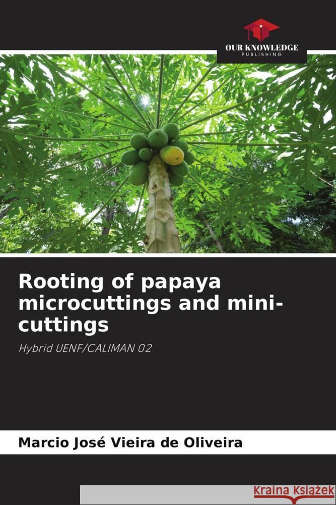 Rooting of papaya microcuttings and mini-cuttings Vieira de Oliveira, Marcio José 9786208668143 Our Knowledge Publishing - książka