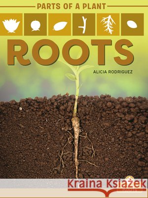 Roots Alicia Rodriguez 9781427140678 Crabtree Roots - książka