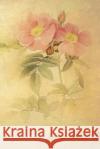 Rosa Lucida: Floral Notebook with Flower Illustrations on Every Page Coming Up Roses 9781090578655 Independently Published