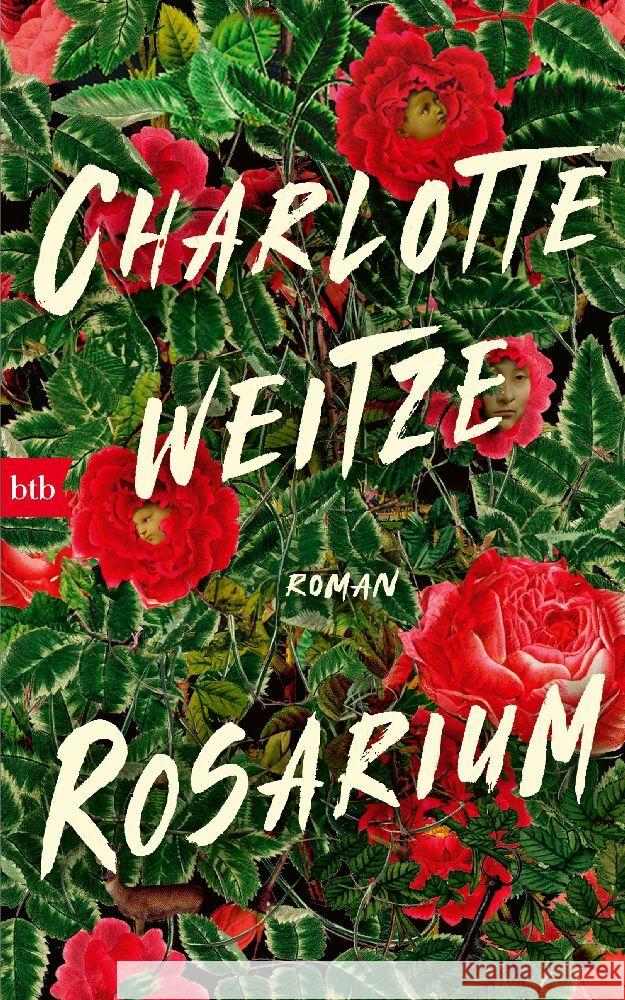 Rosarium Weitze, Charlotte 9783442759842 btb - książka