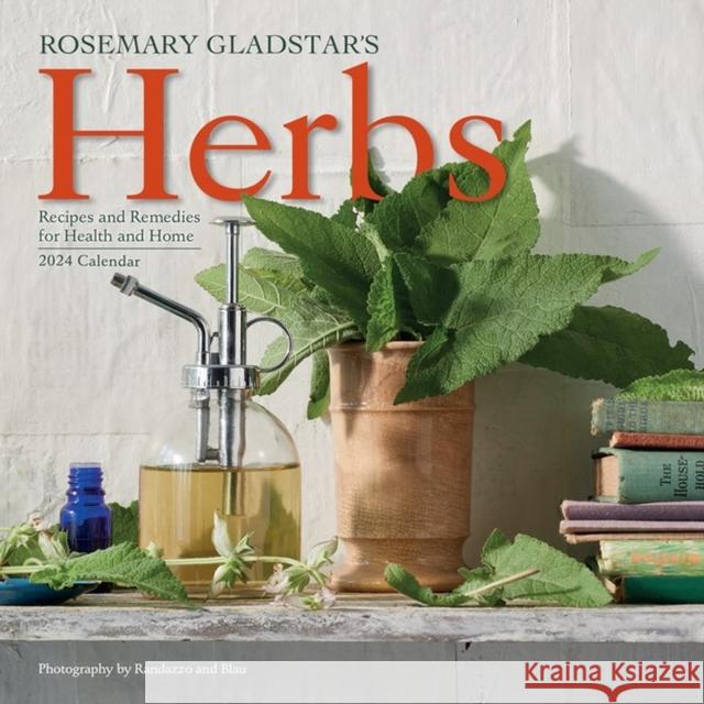 Rosemary Gladstar's Herbs Wall Calendar 2024: Recipes and Remedies for Health and Home Workman Calendars 9781523519088 Workman Publishing - książka
