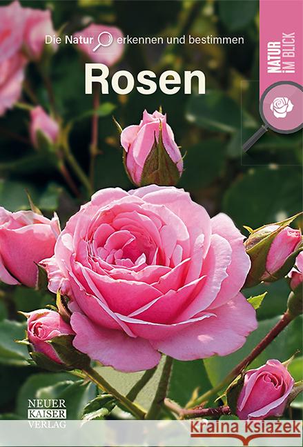 Rosen  9783846805084 Neuer Kaiser Verlag, Fränkisch-Crumbach - książka