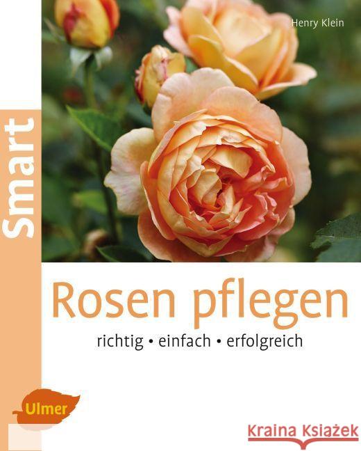 Rosen pflegen : Richtig - einfach - erfolgreich Klein, Henry 9783800103102 Verlag Eugen Ulmer - książka