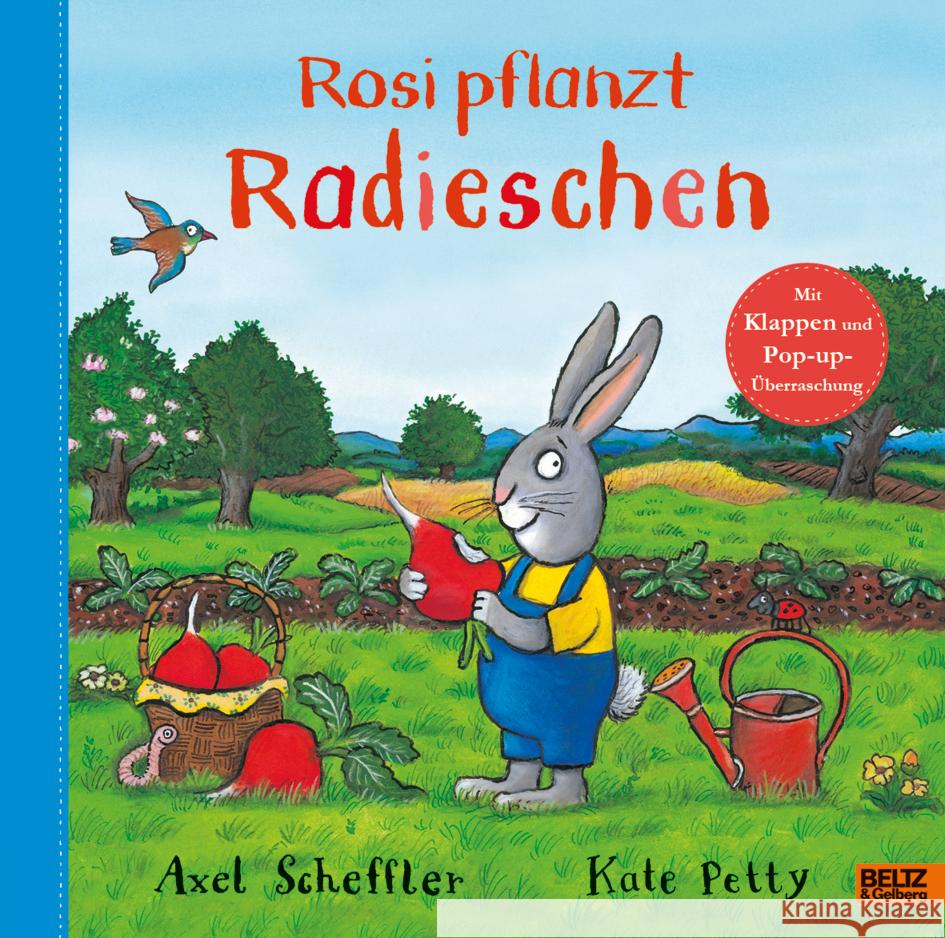 Rosi pflanzt Radieschen Scheffler, Axel 9783407758873 Beltz - książka