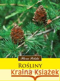 Rośliny leśne Witkowska-Żuk Leokadia 9788370733599 Multico - książka