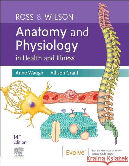 Ross & Wilson Anatomy and Physiology in Health and Illness Anne Waugh Allison Grant 9780323834605 Elsevier - Health Sciences Division - książka