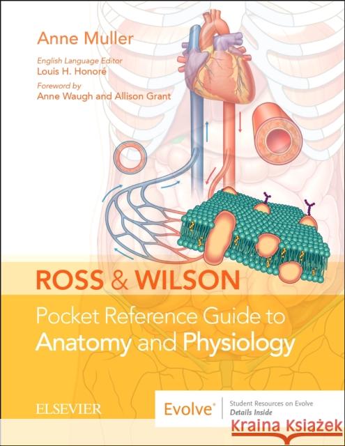 Ross & Wilson Pocket Reference Guide to Anatomy and Physiology Muller, Anne 9780702076176 Elsevier Health Sciences - książka