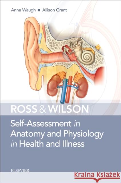 Ross & Wilson Self-Assessment in Anatomy and Physiology in Health and Illness Anne Waugh Allison Grant, BSc PhD FHEA  9780702078309 Elsevier Health Sciences - książka