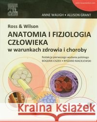 Ross & Wilson Anatomia i fizjologia człowieka w warunkach zdrowia i choroby Waugh Anne Grant Allison 9788376097503 Urban & Partner - książka