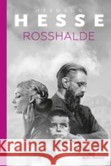 Rosshalde Hermann Hesse 9788382650167 Media Rodzina - książka