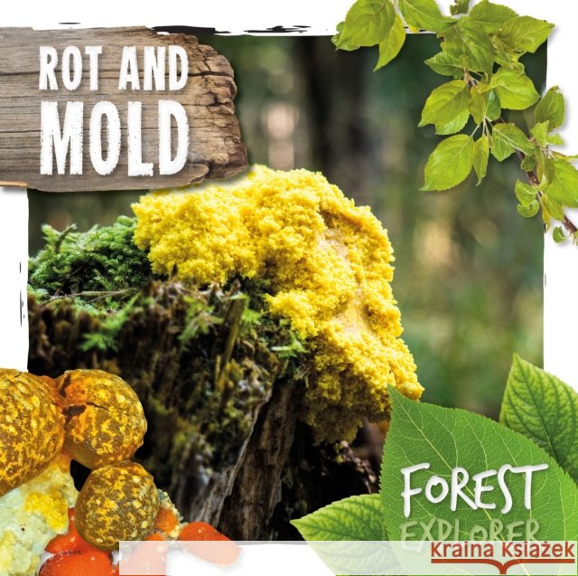 Rot & Mould Robin Twiddy 9781786374790 BookLife Publishing - książka