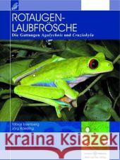 Rotaugenlaubfrösche Eisenberg, Tobias; Kaesling, Jörg 9783866591998 Natur und Tier-Verlag - książka
