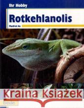 Rotkehlanolis Au, Manfred   9783898601634 Bede - książka