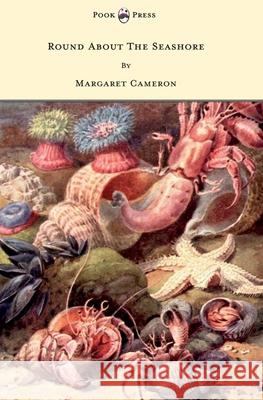 Round about the Seashore - With Eight Coloured Pictures Cameron, Margaret 9781447438144 Pook Press - książka