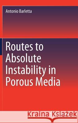 Routes to Absolute Instability in Porous Media Antonio Barletta 9783030061937 Springer - książka