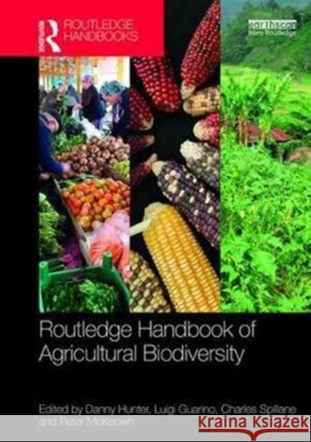 Routledge Handbook of Agricultural Biodiversity Danny Hunter Luigi Guarino Charles Spillane 9780415746922 Routledge - książka