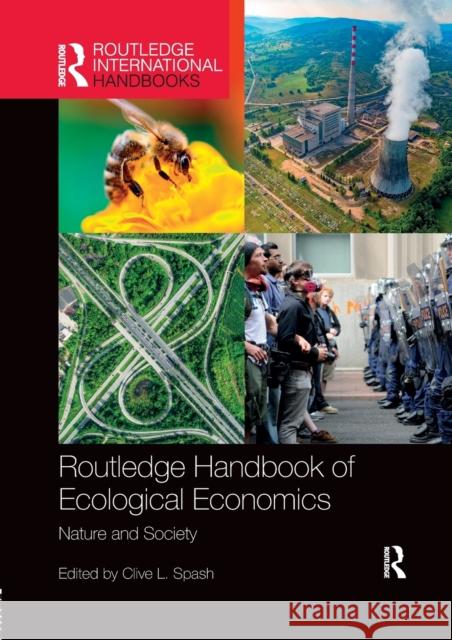 Routledge Handbook of Ecological Economics: Nature and Society Clive L. Spash 9780367031145 Routledge - książka