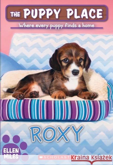 Roxy (the Puppy Place #55): Volume 55 Miles, Ellen 9781338303063 Scholastic Inc. - książka