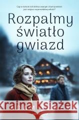 Rozpalmy światło gwiazd Adam Faber 9788384300138 Skarpa Warszawska - książka