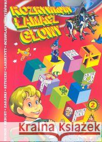 Rozrywkowy łamacz głowy 2  9788388642296 Skrzat - książka