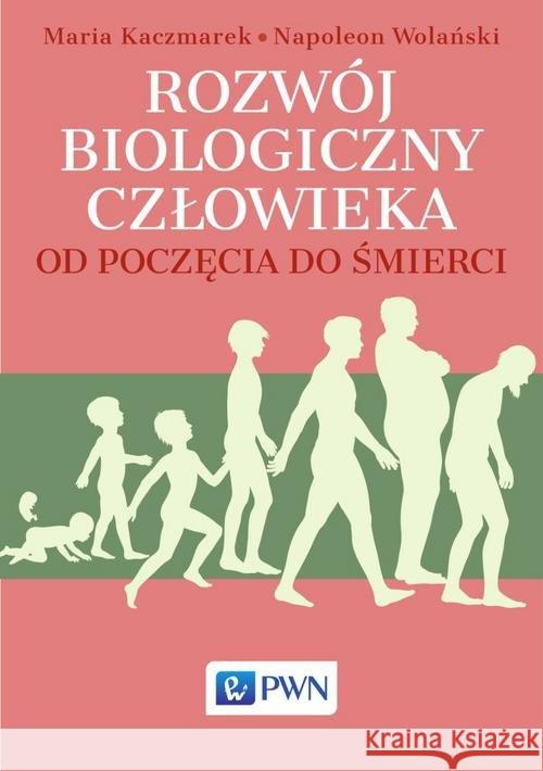 Rozwój biologiczny człowieka od poczęcia do śmierci Kaczmarek Maria Wolański Napoleon 9788301200626 Wydawnictwo Naukowe PWN - książka