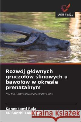 Rozwój glównych gruczolów slinowych u bawolów w okresie prenatalnym Raja, Kannekanti, Santhi Lakshmi, M. 9786202498968 Wydawnictwo Nasza Wiedza - książka