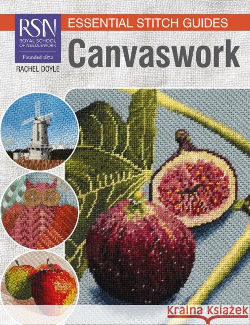 RSN Essential Stitch Guides: Canvaswork: Large Format Edition  9781782219316 Search Press - książka