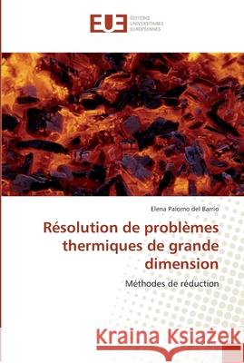 Résolution de problèmes thermiques de grande dimension del Barrio-E 9786131565380 Editions Universitaires Europeennes - książka