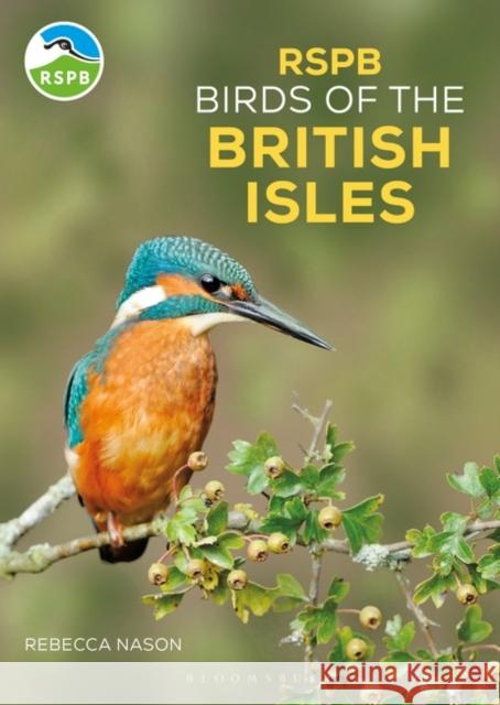 RSPB Birds of the British Isles Rebecca Nason 9781399400831 Bloomsbury Publishing PLC - książka