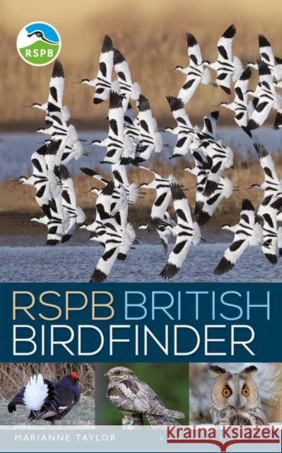 RSPB British Birdfinder Marianne Taylor 9781472967046 Bloomsbury Publishing PLC - książka