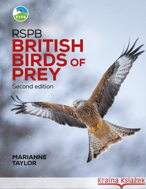 RSPB British Birds of Prey Marianne Taylor 9781399421126 Bloomsbury Publishing PLC - książka