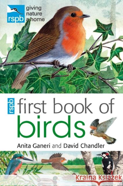 RSPB First Book Of Birds Anita Ganeri 9781408137185  - książka