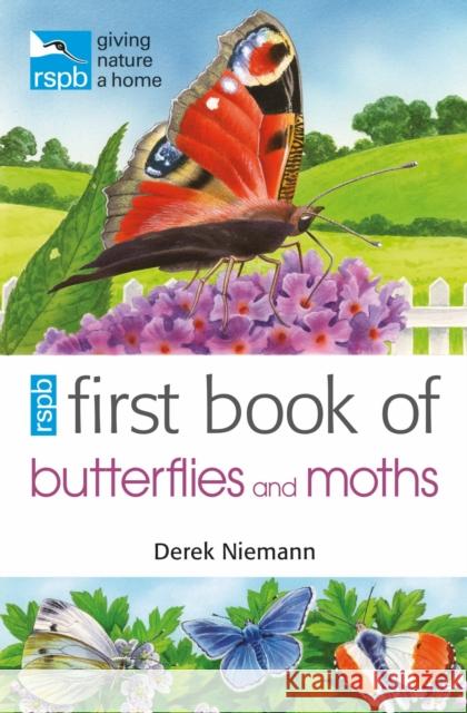 RSPB First Book of Butterflies and Moths Derek Niemann 9781408165720 Bloomsbury Publishing PLC - książka
