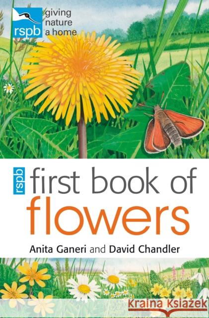 RSPB First Book of Flowers Anita Ganeri 9781408137178 Bloomsbury Publishing PLC - książka