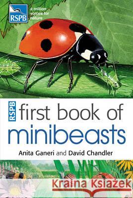 RSPB First Book Of Minibeasts Anita Ganeri, David Chandler (Author) 9781408137154 Bloomsbury Publishing PLC - książka