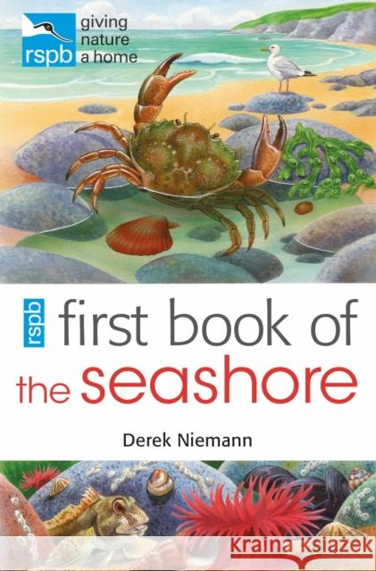 RSPB First Book Of The Seashore Derek Niemann 9781408165690 Bloomsbury Publishing PLC - książka