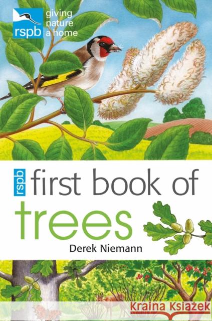 RSPB First Book Of Trees Derek Niemann 9781408165706 Bloomsbury Publishing PLC - książka