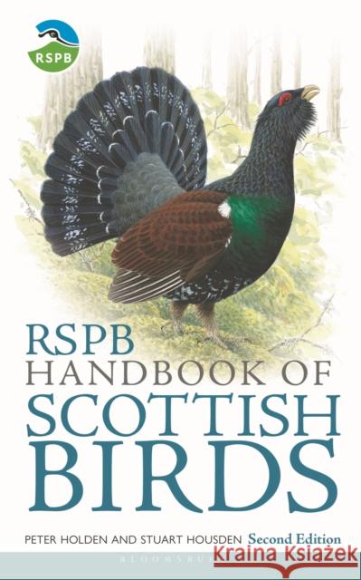 RSPB Handbook of Scottish Birds Stuart Housden 9781472965189 Bloomsbury Publishing PLC - książka