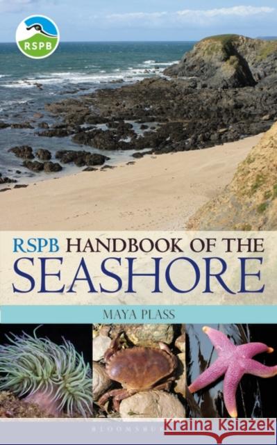 RSPB Handbook of the Seashore Maya Plass 9781472962775 Bloomsbury Publishing PLC - książka