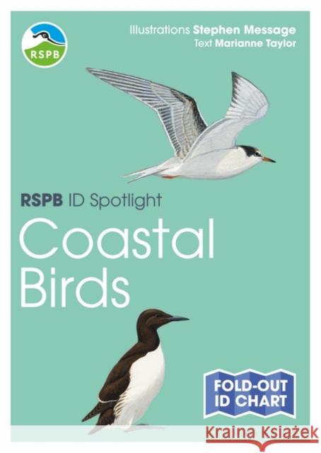 RSPB ID Spotlight - Coastal Birds Marianne Taylor 9781472974242 Bloomsbury Publishing PLC - książka