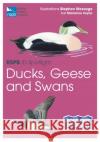 RSPB ID Spotlight - Ducks, Geese and Swans Marianne Taylor 9781399403696 Bloomsbury Publishing PLC