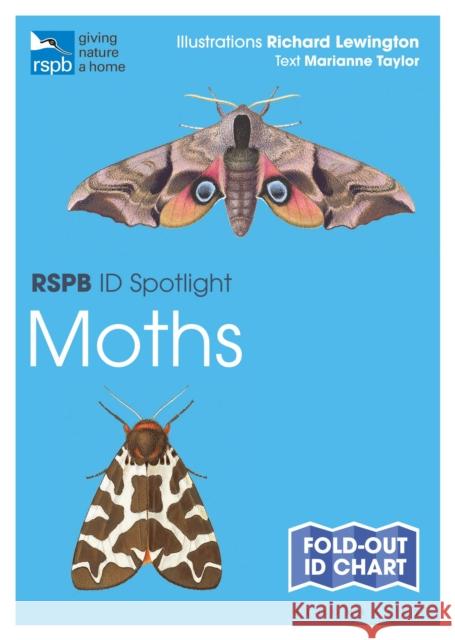 RSPB ID Spotlight - Moths Marianne Taylor Richard Lewington 9781472974297 Bloomsbury Publishing PLC - książka