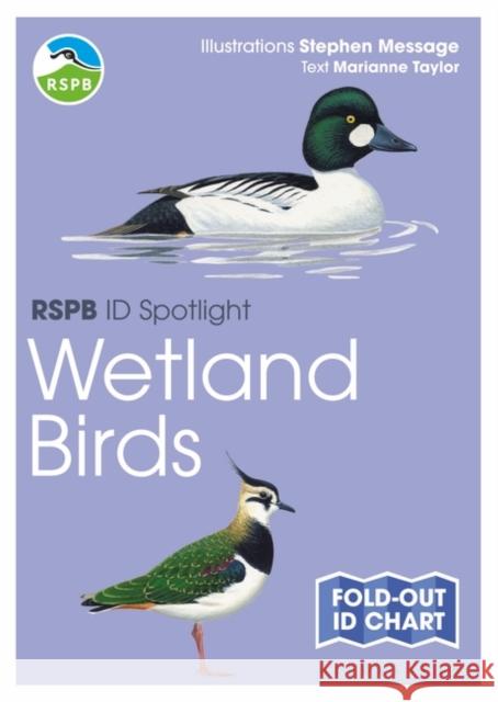 RSPB ID Spotlight - Wetland Birds Marianne Taylor, Stephen Message 9781472974235 Bloomsbury Publishing PLC - książka
