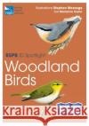RSPB ID Spotlight - Woodland Birds Marianne Taylor 9781472989109 Bloomsbury Publishing PLC
