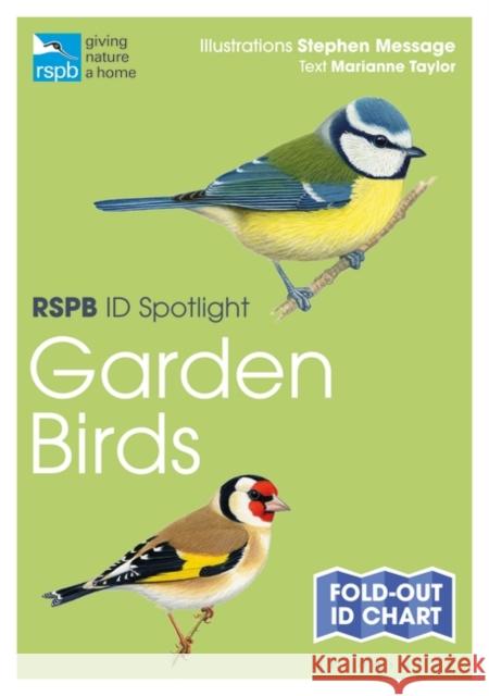 RSPB ID Spotlight – Garden Birds  9781472974228 Bloomsbury Publishing PLC - książka